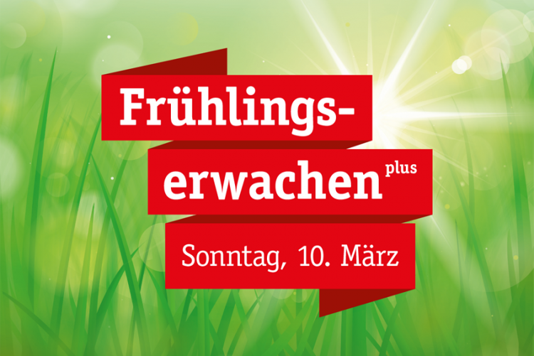 Frühlingserwachen plus